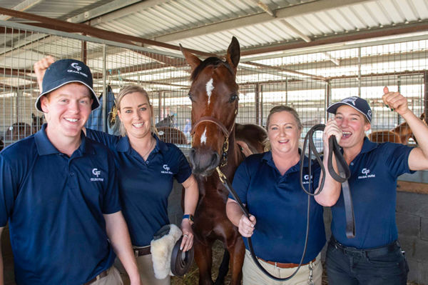 Gilgai Farm team celebrate with their $1millionI Am Invincible colt from Ocean Jewel - image MM