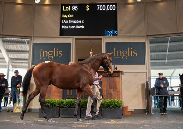 This colt related to Wins topped Inglis Easter Round 2