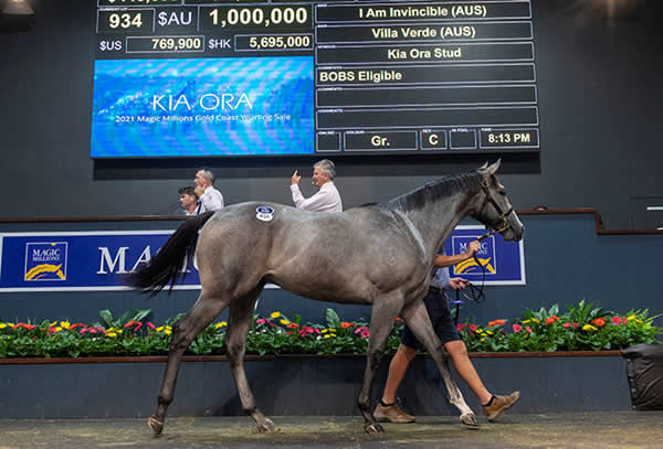 Top lot on Saturday night was this stunning grey colt by I am Invincible.