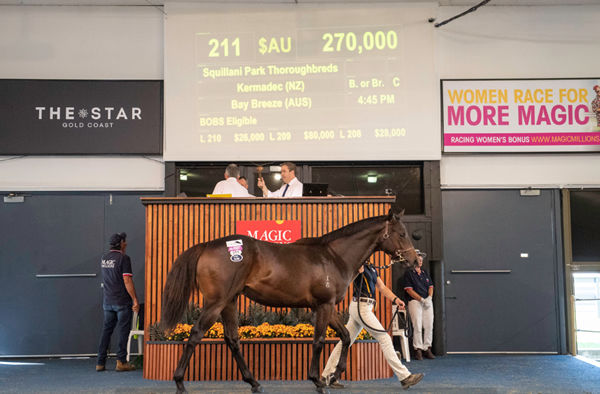 star of the show - $270,000 Kermadec colt