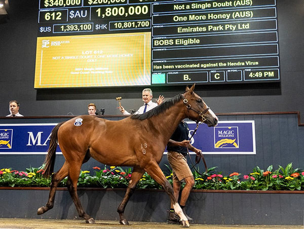 Sold by Emirates Park, the $1.8 million Not a Single Doubt colt.