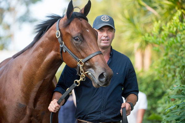 $850,000 American Pharoah colt from Derelique