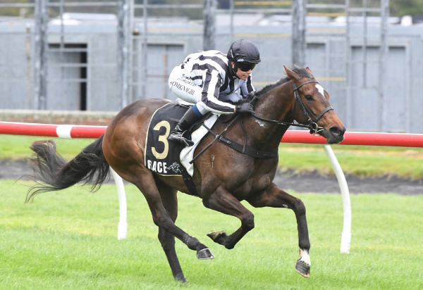 Connello powers away with the Happy Hire 1400 at Trentham on Sunday.   Photo: Peter Rubery (Race Images Palmerston North)