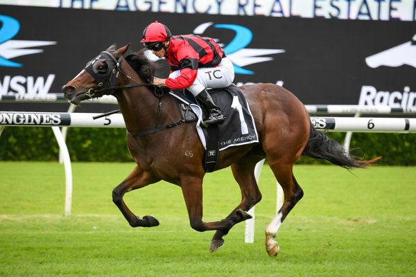 Converge won the Listed Fernhill Handicap at Randwick in April (image Steve Hart)