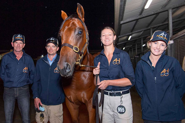 Corumbene Stud and their $1.8million colt!