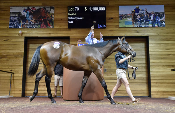 Written Tycoon colt from Gybe sells for $1.1million.