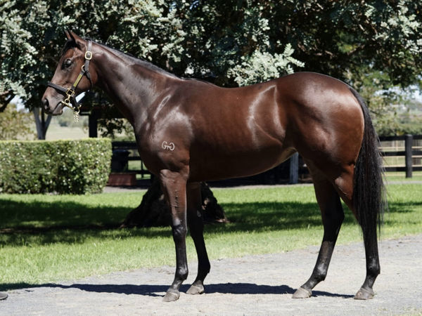 Cythera a $420,000 Easter Yearling