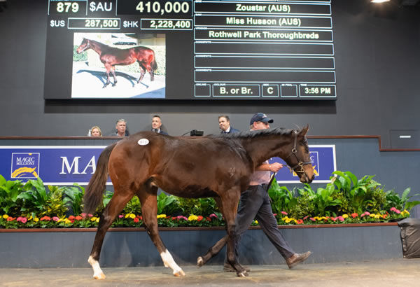 Top lot at the Magic Millions National Weanling Sale on Thursday.