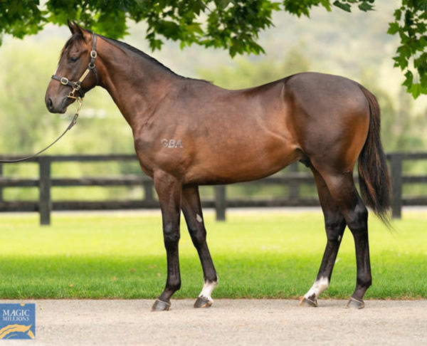 Dead of Night was a $1.1million Magic Millions purchase.