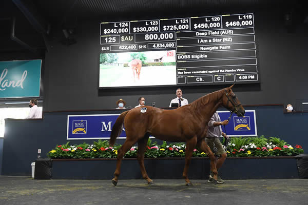 Highest priced colt on Tuesday was Newgate Farm's Deep Field colt from I am a Star. 