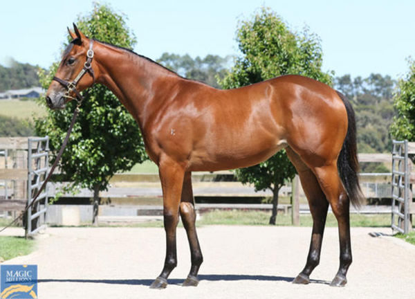 Demiana was a $320,000 Magic Millions purchase.