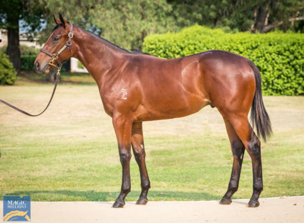 Derivative was a $300,000 Magic Millions purchase.