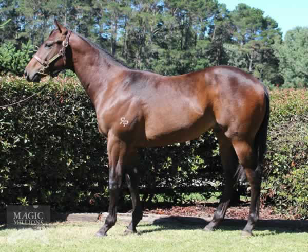 Dewhurst was a $125,000 Magic Millions Yearling