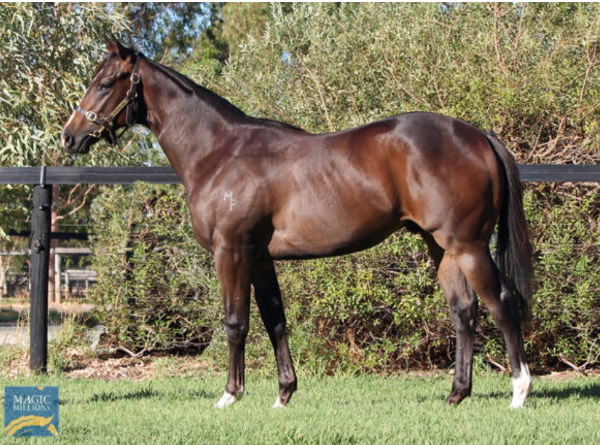 Do I Feel Lucky was a $100,000 Magic Millions Perth purchase.