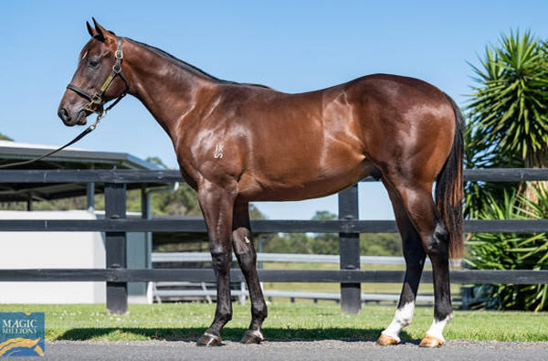 Dublin Down was the highest priced yearling colt from the first crop of Exceedance.