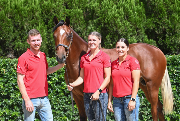 Marenaro was a favourite with the Torryburn Stud team as a yearling.
