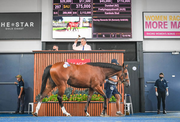 Sale-topper, the Dundeel filly from Prettyhappyaboutit.