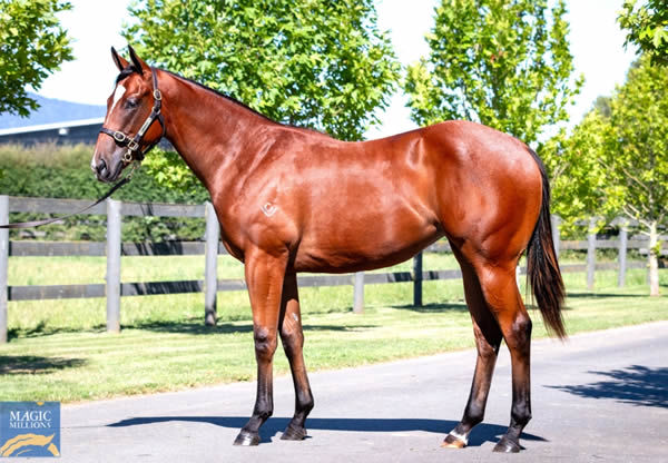 $675,000 Exceed and Excel filly from Galway Girl.