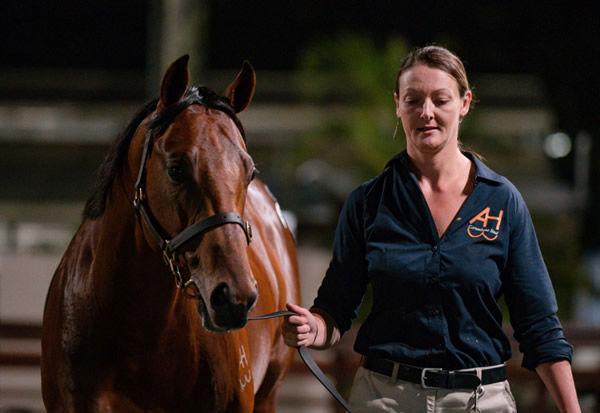 $1.8million Exceed and excel colt from Inchihara