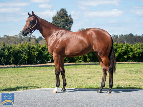 Elonia was a $260,000 Magic Millions purchase.