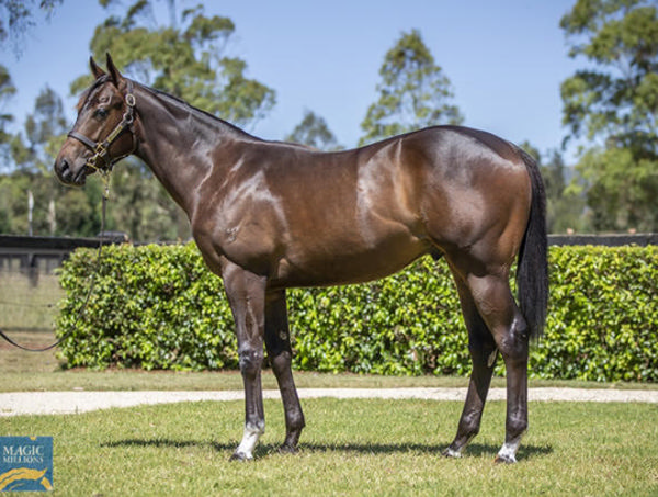 Embassy was a $625,000 Magic Millions purchase from Yarraman Park.