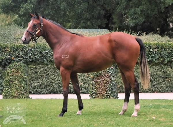 Eperdument  as a yearling