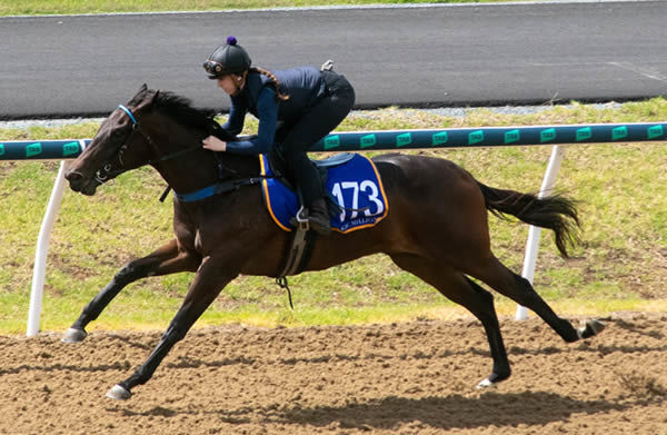 Lot 173 - Exosphere filly from Ellay Doll galloped out in 9.94 seconds!!