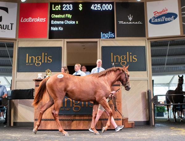 Top lot on day 1 - $425,000 filly by Extreme Choice.