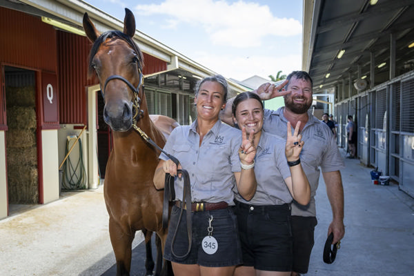 Happy days for Kingstar Farm with their $2million colt - image MM