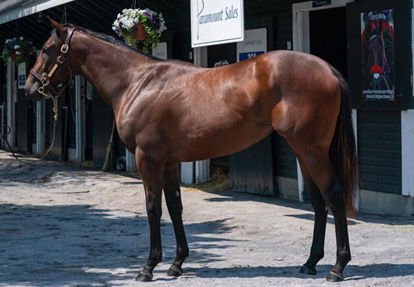 $700,000 American Pharoah filly from Funfair.