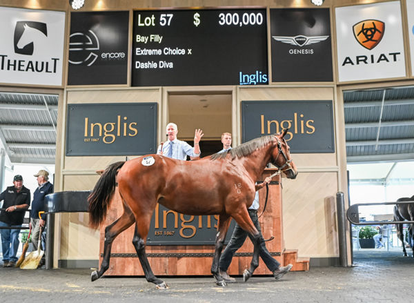 Top lot on Sunday at the Inglis HTBA May Sale.