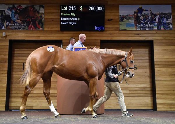 $260,000 Inglis Gold sale-topping filly.