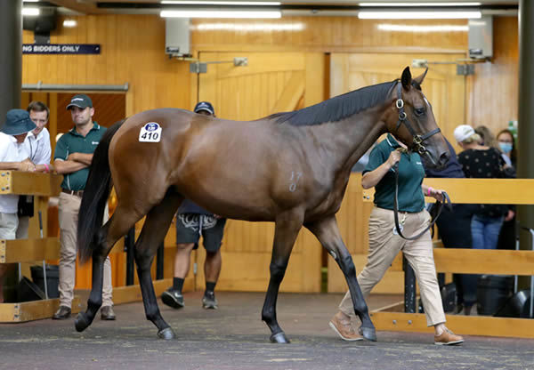 $850,000 Fastnet Rock filly from Memories of You (IRE).