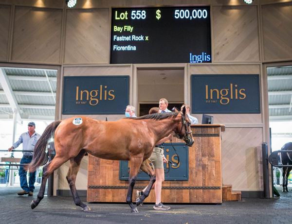 Top lot on Tuesday was this $500,000 Fastnet Rock filly.