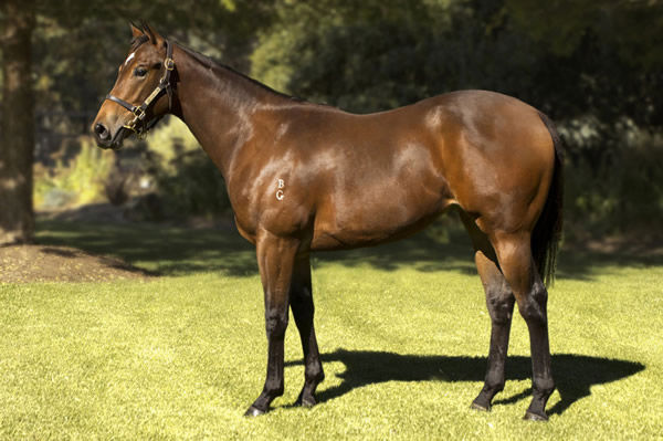 $200,000 Headwater filly from Little Indian