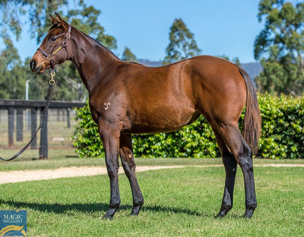 $600,000 I Am Invincible filly from Ektifaa