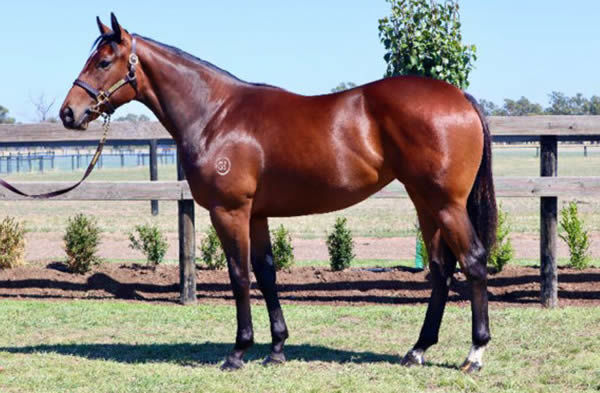 $240,000 Impending filly from Legcut.