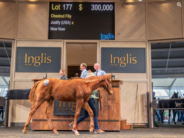 $300,000 Justify filly from Now Now was the top priced filly of the sale.