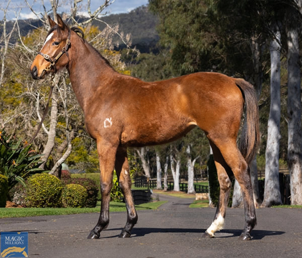 $450,000 Pierro filly from Samantha Miss.