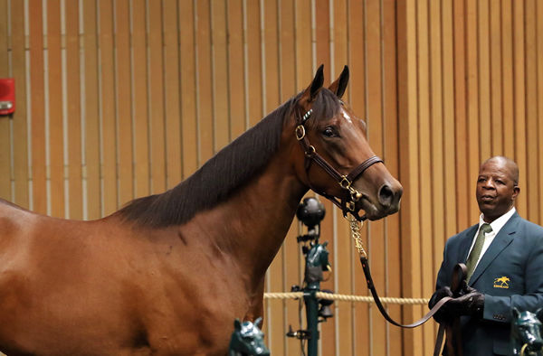 $1.3million Quality Road filly from Key to My Heart - Keeneland Photo