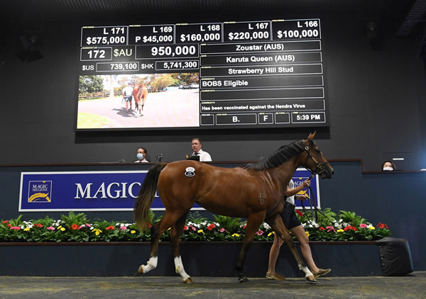 $950,000 Zoustar filly from Karuta Queen the top lot on day 1 - image Steve Hart.