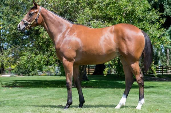 $180,000 Alpine Eagle filly from God Bless Us