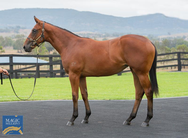 Fastnet Rock filly from Mid Summer Music