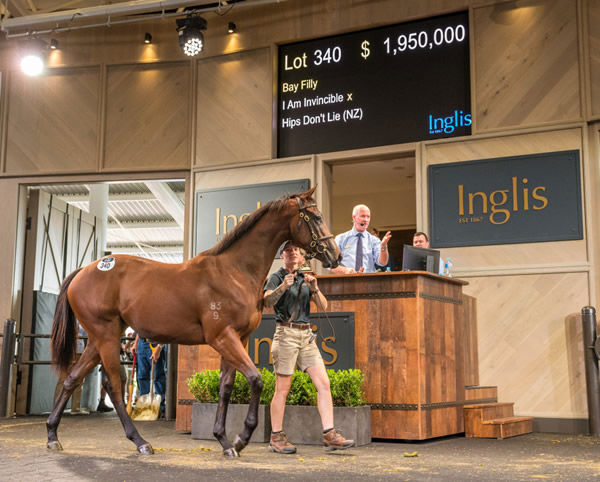 The most expensive yearling by I Am Invincible sold in 2021 is entered for the Golden Slipper.