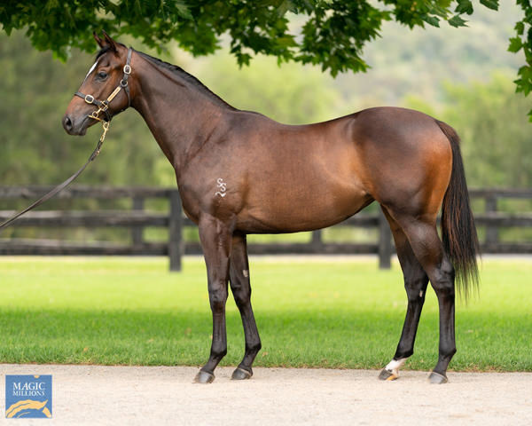 Field of Myrtle as a yearling.