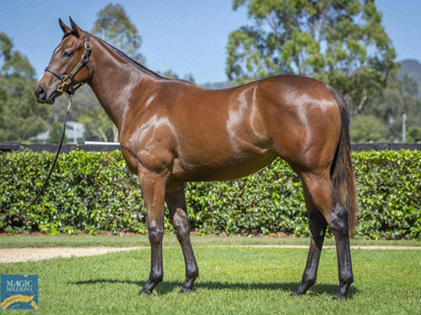 Fire Lane was bred and sold by Yarraman Park.