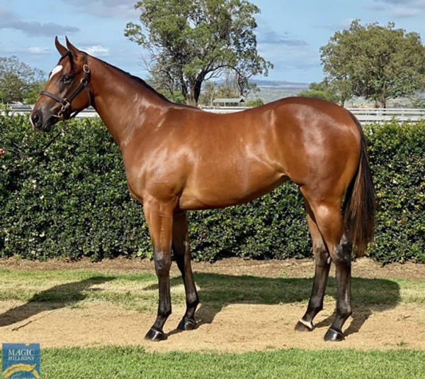 Fire Love provided a great result for her breeder Letitia Langbecker.