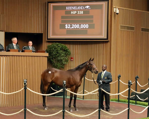 $2.2million Flightline filly from Four Graces.