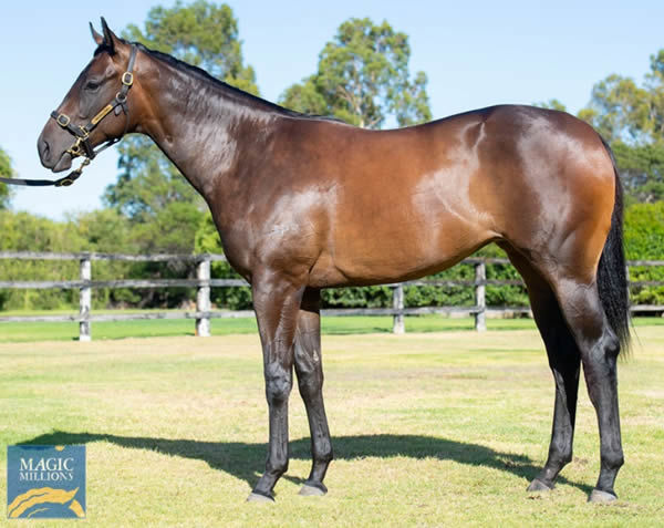 Lot 144 Lucky Street colt from Abitcrytpic