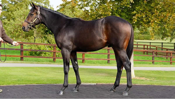 Lot 86